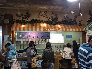初めてのデンパークへ！！