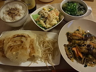 今夜の夕食は☆豚珍館のパリパリ餃子☆
