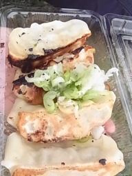 浜松餃子まつり２０１０へ行ってきました！！