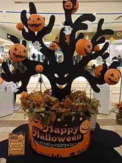 今日はハロウィンですね～♪