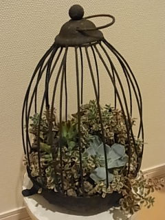 コトコト市へ行ってきました～♪その①