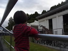 日本平動物園へＧＯ！