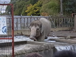 日本平動物園へＧＯ！