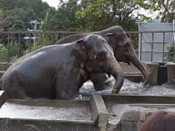 日本平動物園へＧＯ！