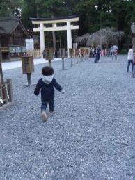 小国神社の紅葉☆