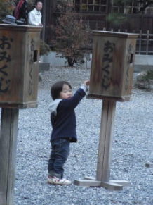 小国神社の紅葉☆