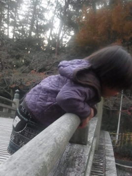 岡崎東公園の紅葉☆