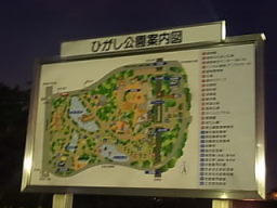 岡崎東公園の紅葉☆