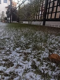 雪が積もったぁ～（＾＾）