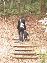 春よ恋まつりinエコパへ行ってきました②