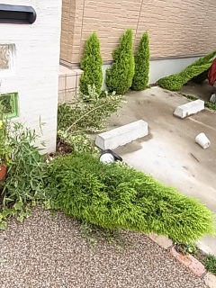 台風直撃でびっくり！！！