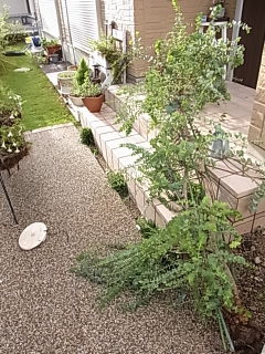 台風直撃でびっくり！！！