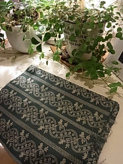GWのお出かけ☆コトコト市編