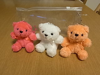 ハイハイレースin遠鉄♪