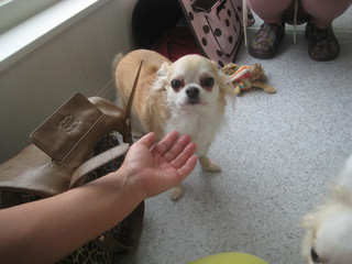 師匠と愛犬