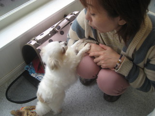 師匠と愛犬