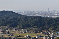 久しぶりに。 2022/10/31 10:39:14