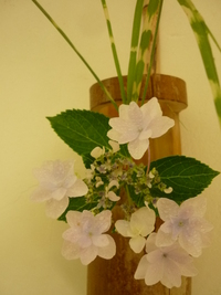 墨田の花火