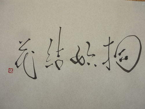 今日の樂書　「桐始結花」