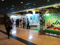 ふじのくに総合食品開発展2013へ・・・。 2013/01/23 17:06:16