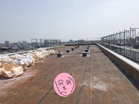 屋上シート防水撤去完了 2016/05/07 18:16:37