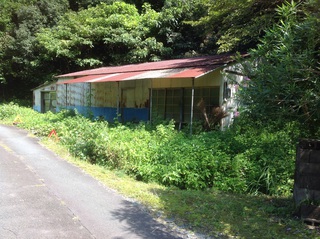 小屋解体