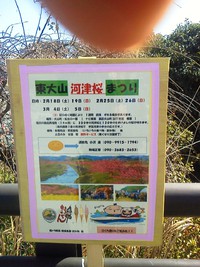桜の話と福島復興ボランティア・視察に行ってきました③