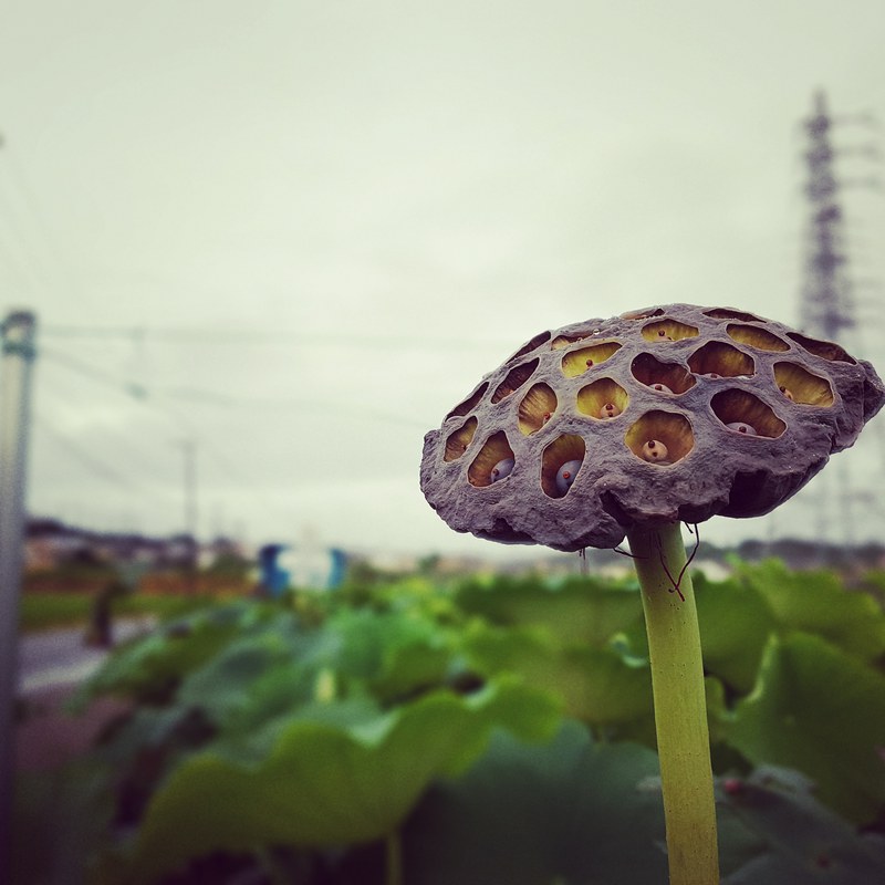 お盆休み