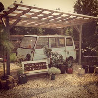 【Sakanamachi Food Bar -SAL- 】