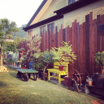 garden。
