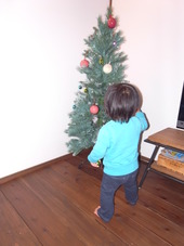 クリスマスツリー。