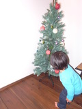 クリスマスツリー。