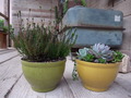 R.garden　Shop　営業時間変更のお知らせ。
