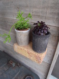 R.garden　Shop　営業時間変更のお知らせ。