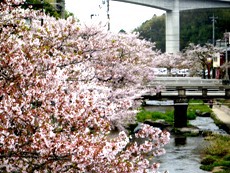 「旅行」という開運。