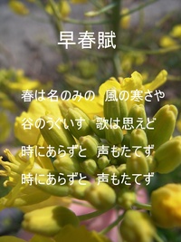 ♪立春♪ 2013/02/04 20:04:26
