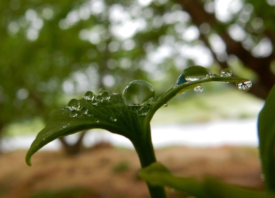 雨の日♪