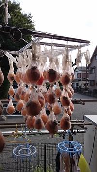 干し柿だよ(^-^)/