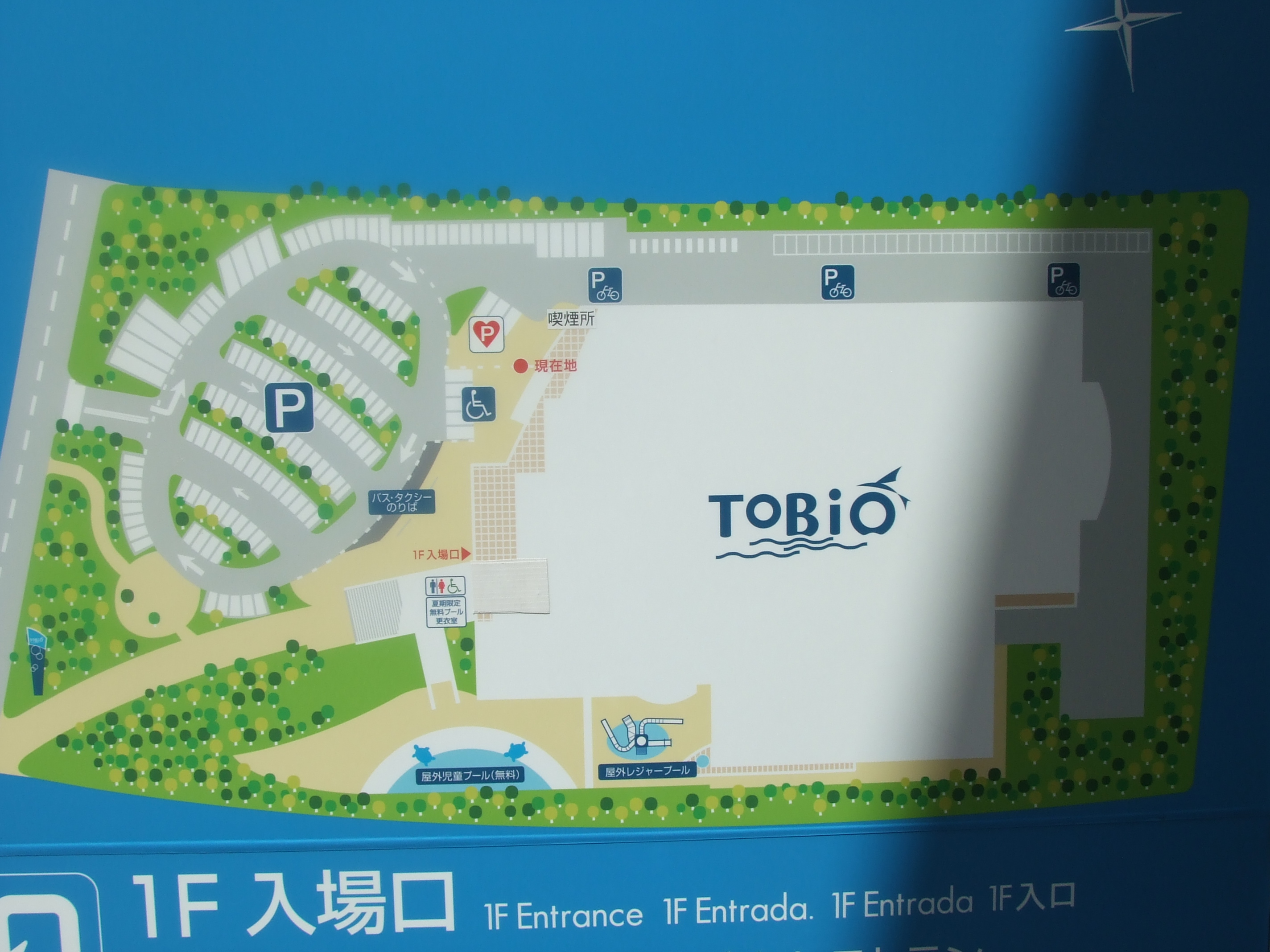 タイムは微妙でも