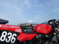 鮭卵の米国祭 2013/06/10 20:44:00