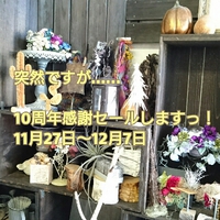 感謝セールのご案内 2016/11/23 09:54:39