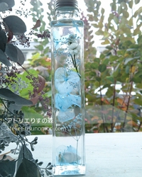受講生作品 ハーバリウム 2017/07/26 23:23:07