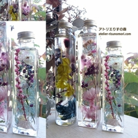 ありがとうございました！ 2017/09/20 07:20:28