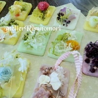 【お知らせ】新コース ボタニカルコース 2015/05/19 10:41:00