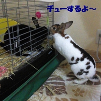 我が家でも・・・ 2014/10/15 22:18:11