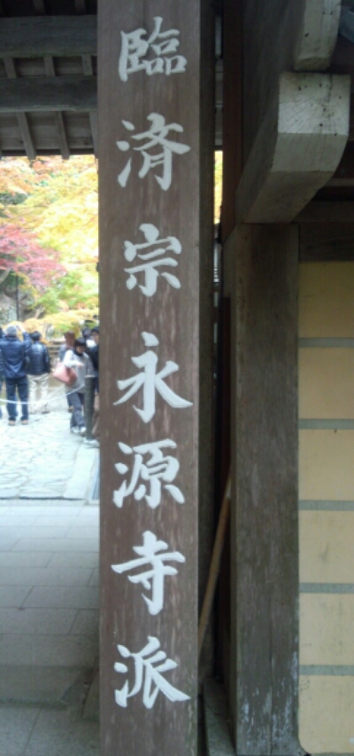 永源寺　特集１　もみじの絨毯
