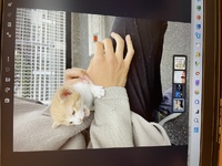 デル　アンバサダープログラムのモニターに参加しています④