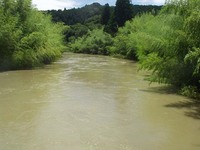 水防団出動しました