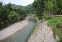 暑い日が続きます