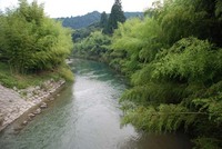 暑い日が続きます